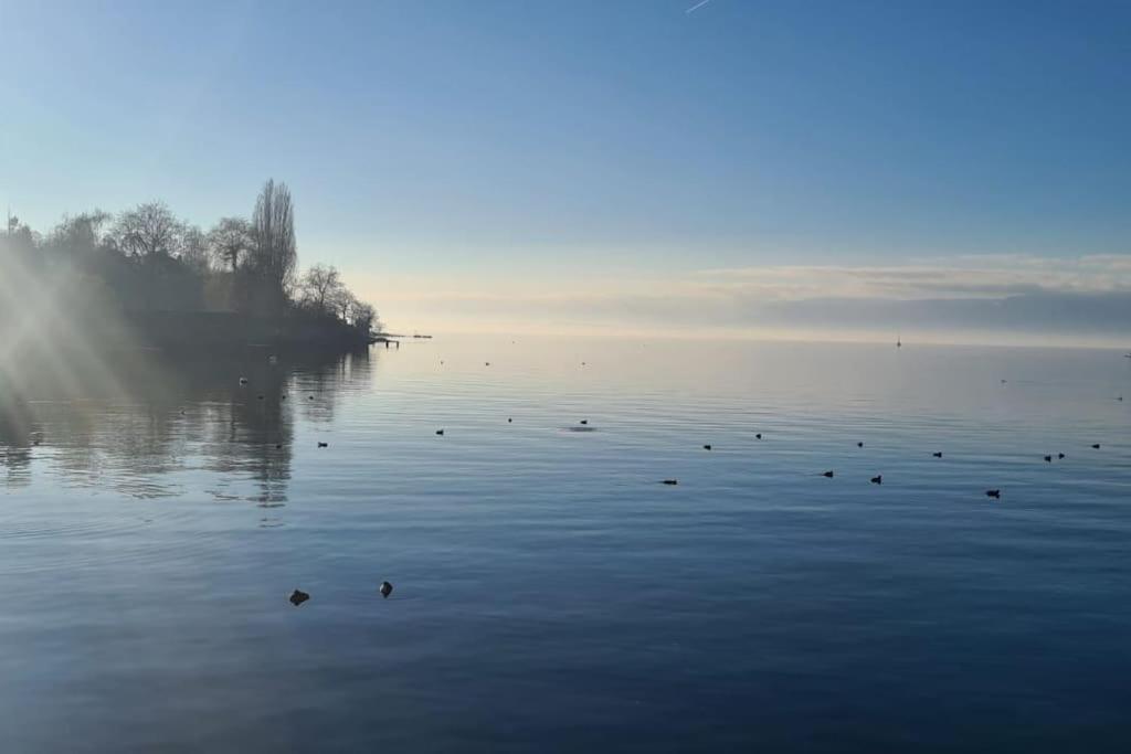 Le Grand Rue Apartment Thonon-les-Bains Bagian luar foto